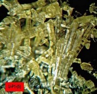 /album/galerie-photos/craoubere-est-p1-epidote-13505-mod5-jpg1/